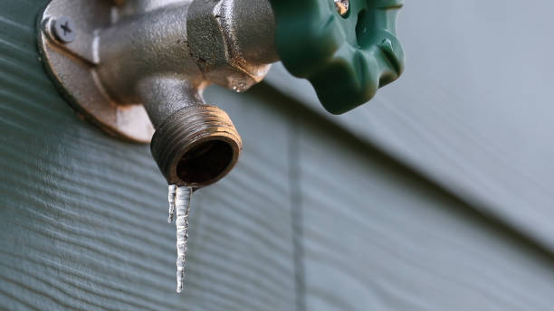 Best Clogged Drain Plumber  in Stockton University, NJ